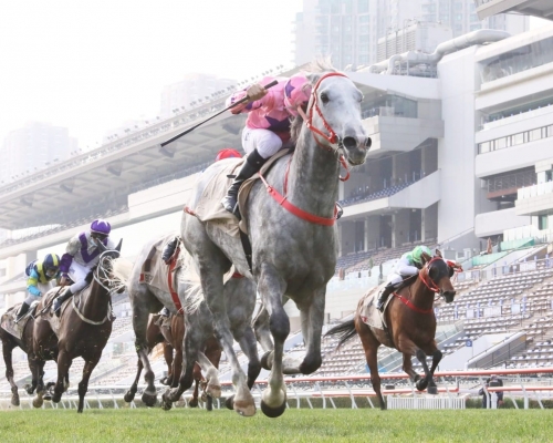 「旺蝦王」在莫雷拉胯下輕易以一又四分三馬位壓倒冷門馬「帝豪福星」勝出。 Curry攝