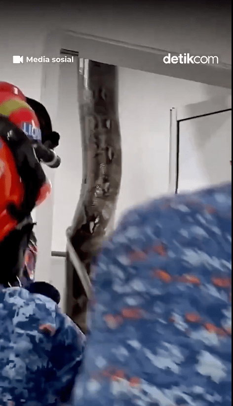 期間巨蟒疑被驚動，粗壯尾巴猛力衝破天花跌落，嚇得隊員忍不住向後跳開。X@detikcom