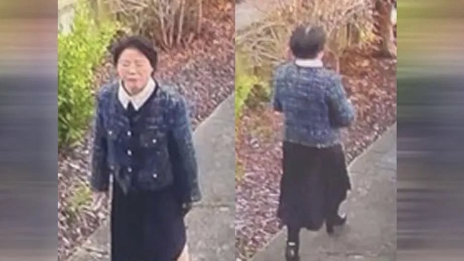 當地警方發布包燕飛（Yanfei Bao，音譯）失蹤前的最後身影。 NZ Police