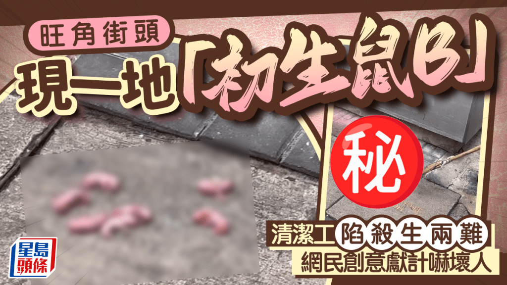 旺角街頭現一地「初生鼠B」 清潔工陷殺生兩難 網民創意獻計嚇壞人｜Juicy叮