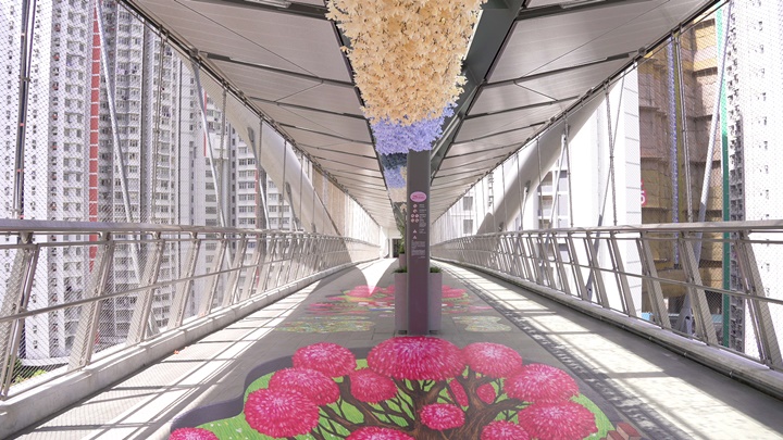 青年議會及海盈居民會等將連接西九龍公路及連翔道的「世紀天橋」塑造成花橋。