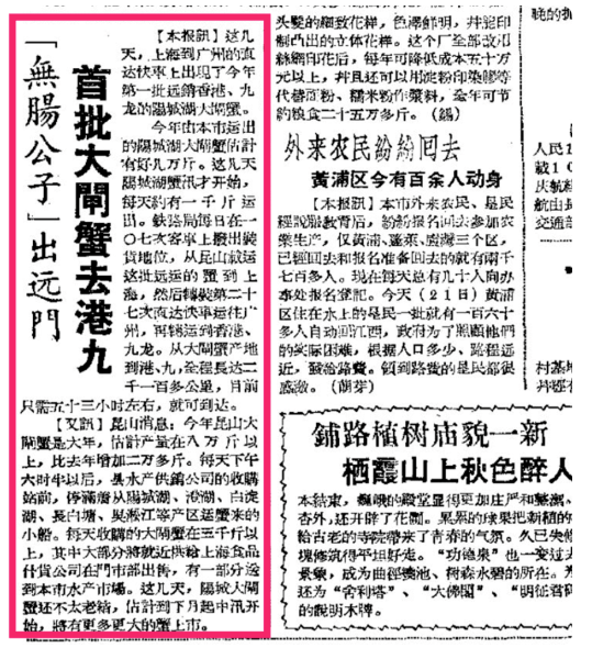 1957年10月21日《新民報晚刊》上，陽澄湖大閘蟹從上海運往香港的新聞。虎嗅@識味Foodledge