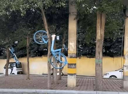 多輛共享汽車被掛到樹上。都市現場