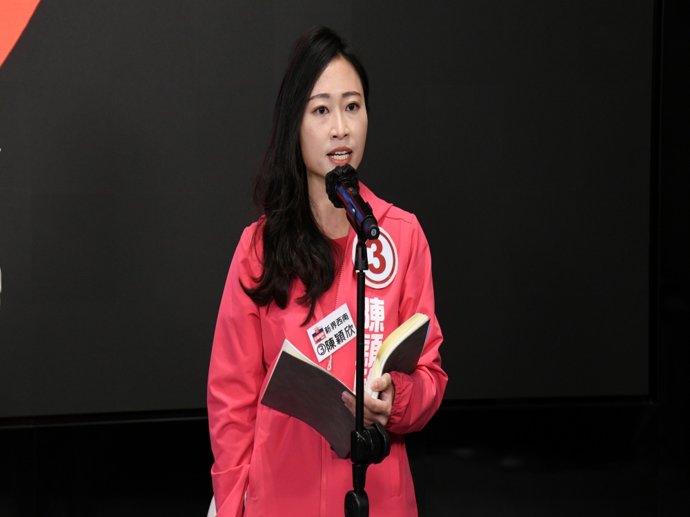 新界西南直選候選人陳穎欣。資料圖片