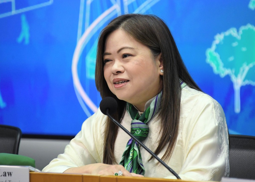 羅淑佩坦言，過往資助雖能維持本地電影從業員「有工開」，但票房能回本的作品有限。