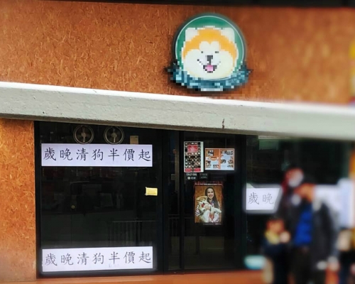 到底寵物是生命還是商品。貓貓狗狗保護及領養區(香港)圖片