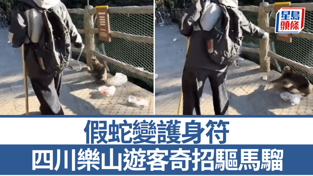 有遊客拿著假蛇上四川樂山防身。荔枝新聞