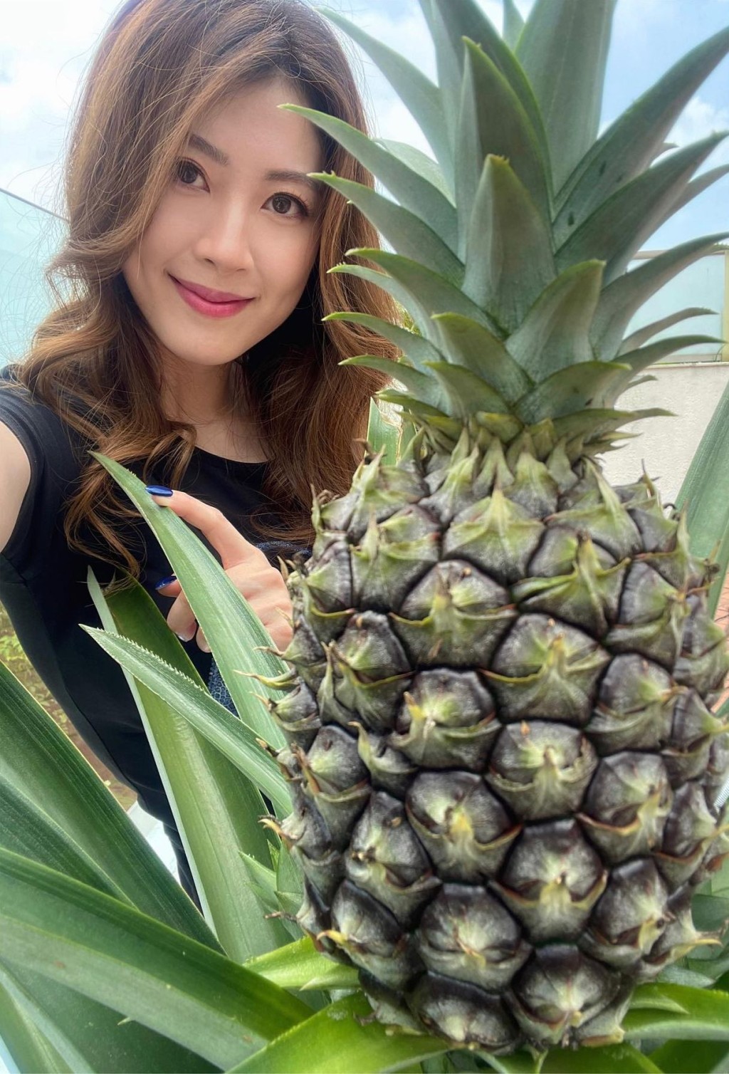 謝芷倫在疫情期間種植。 謝芷倫在疫情期間種植。