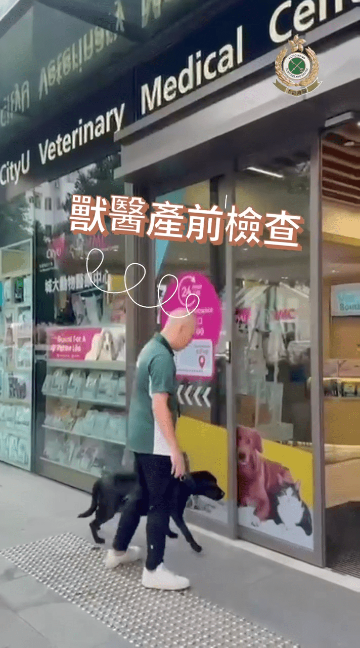 關員由起居飲食、產前檢查到產前運動，「樣樣做到足」。