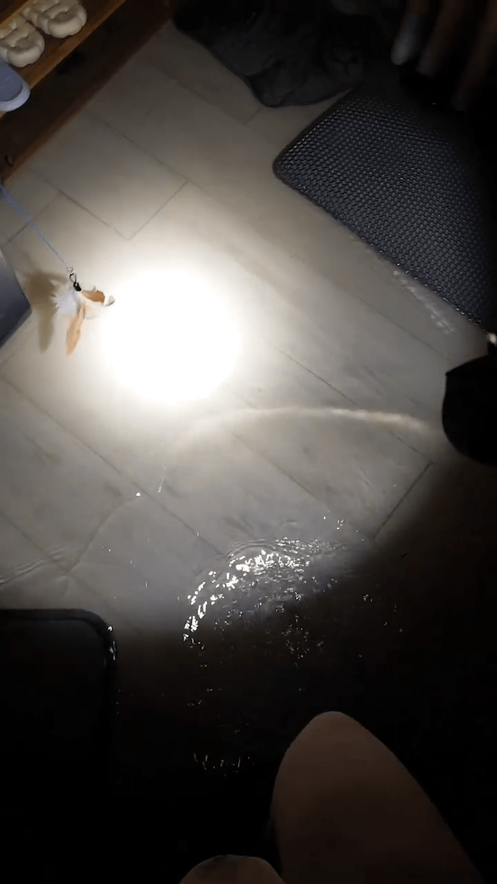 從樓主上載的現場直擊影片，可見當時災情極度危急，屋內已經完全停電（圖片來源：phiyanaet＠Threads）