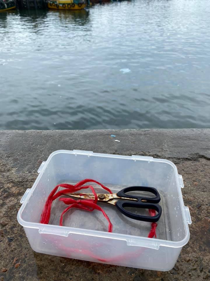 女網民強調，希望兩隻蟹順利找到居所，繼續繁殖造福人群。FB圖片