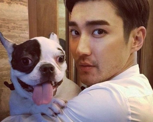 網民仍認為始源作為狗主疏忽管理愛犬責任難卸。