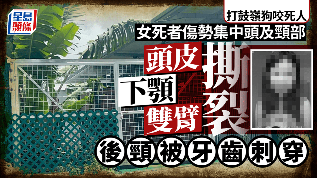 打鼓嶺狗咬死人│女死者頭皮撕裂 後頸被牙齒刺穿 多處撕裂