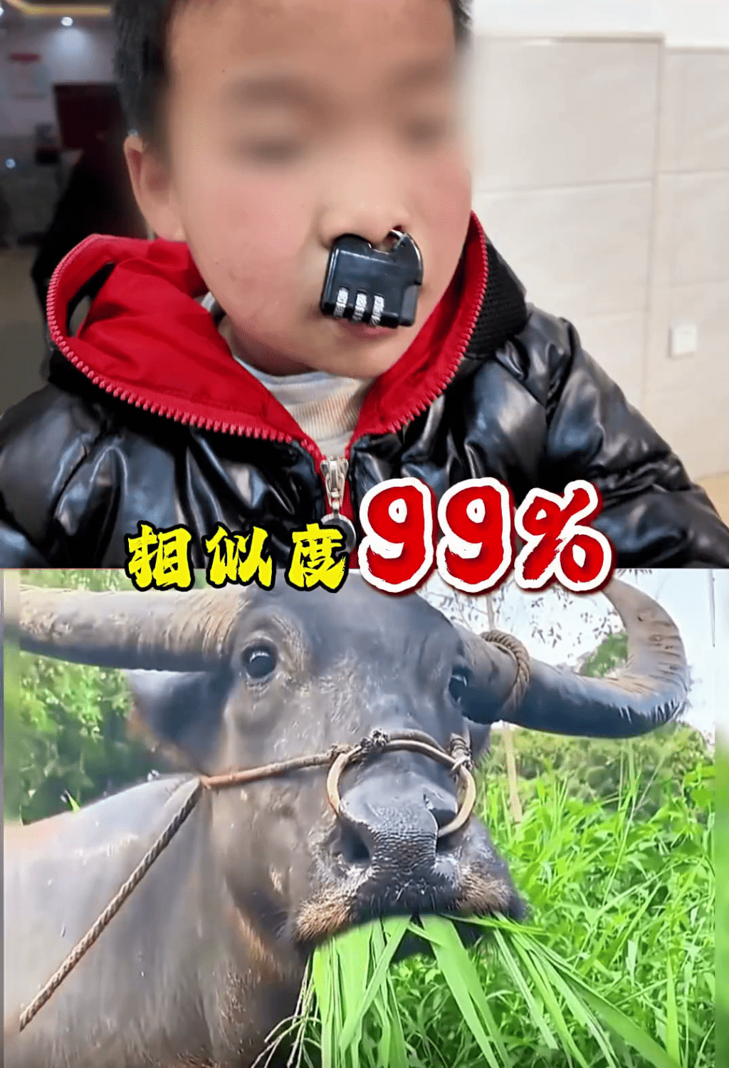 顽童玩密码锁“卡鼻”秒变牛魔王。