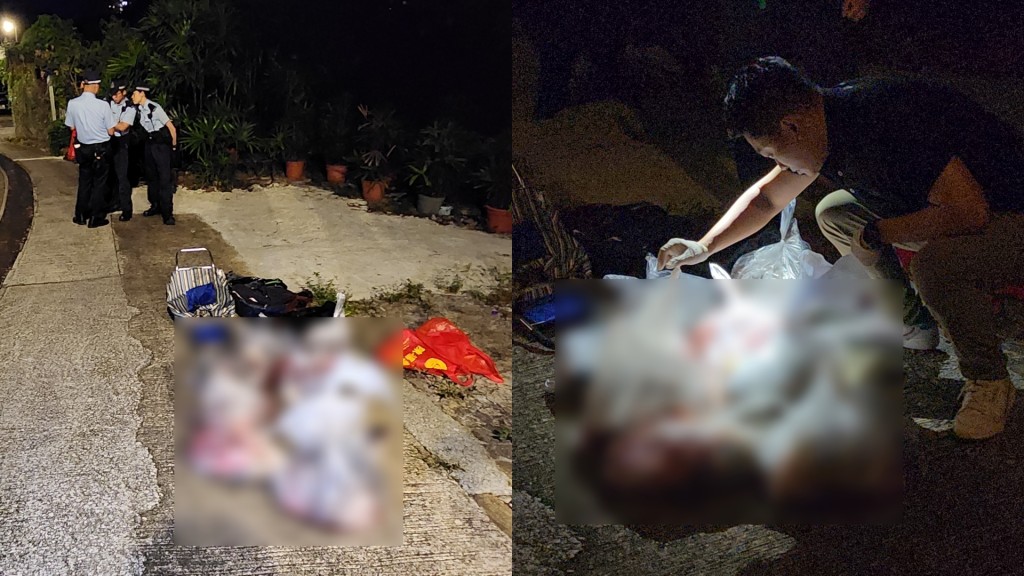 西貢驚現殘酷殺豬案 兩野豬崽遭斬件 血淋淋入袋被棄鄉郊