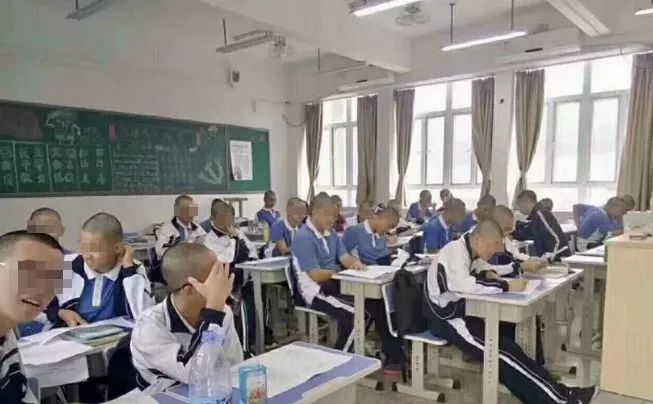 。網圖