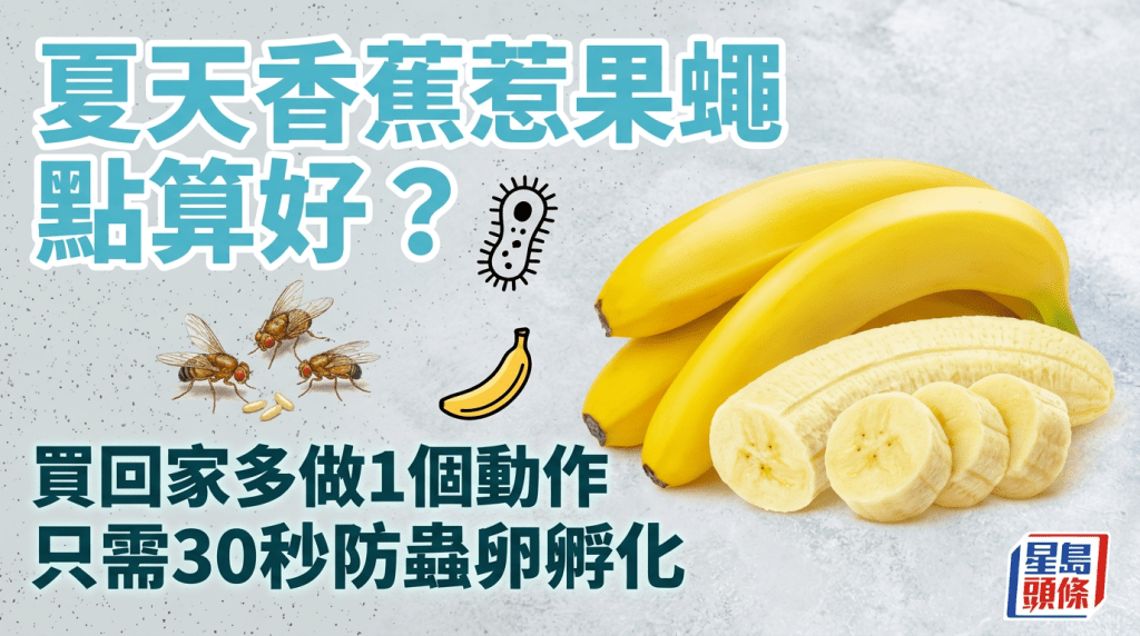 夏天香蕉惹果蠅點算好？買回家多做1個動作 只需30秒防蟲卵孵化