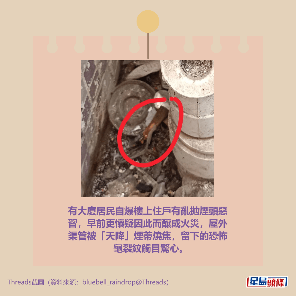 Threads截圖(資料來源:bluebell_raindrop@Threads) Threads截圖(資料來源:bluebell_raindrop@Threads)