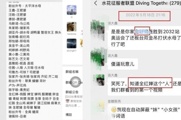 疑似对全红婵网暴的微信群组曝光。