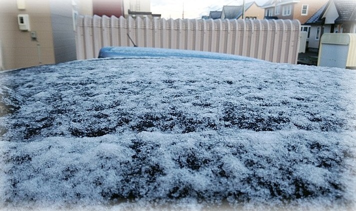 旭川汽車鋪上白雪。網上圖片