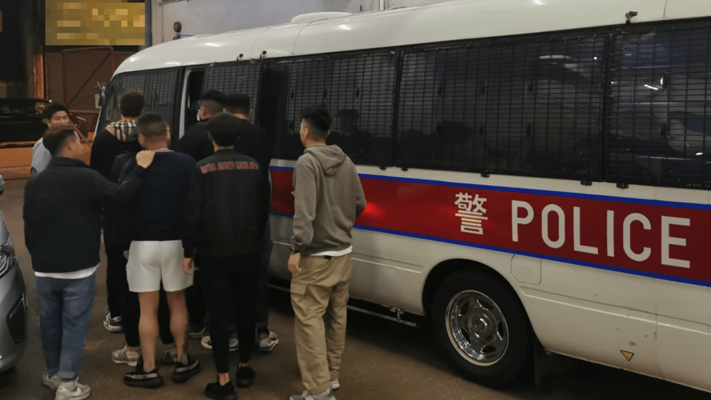行動中29人被捕。警方提供