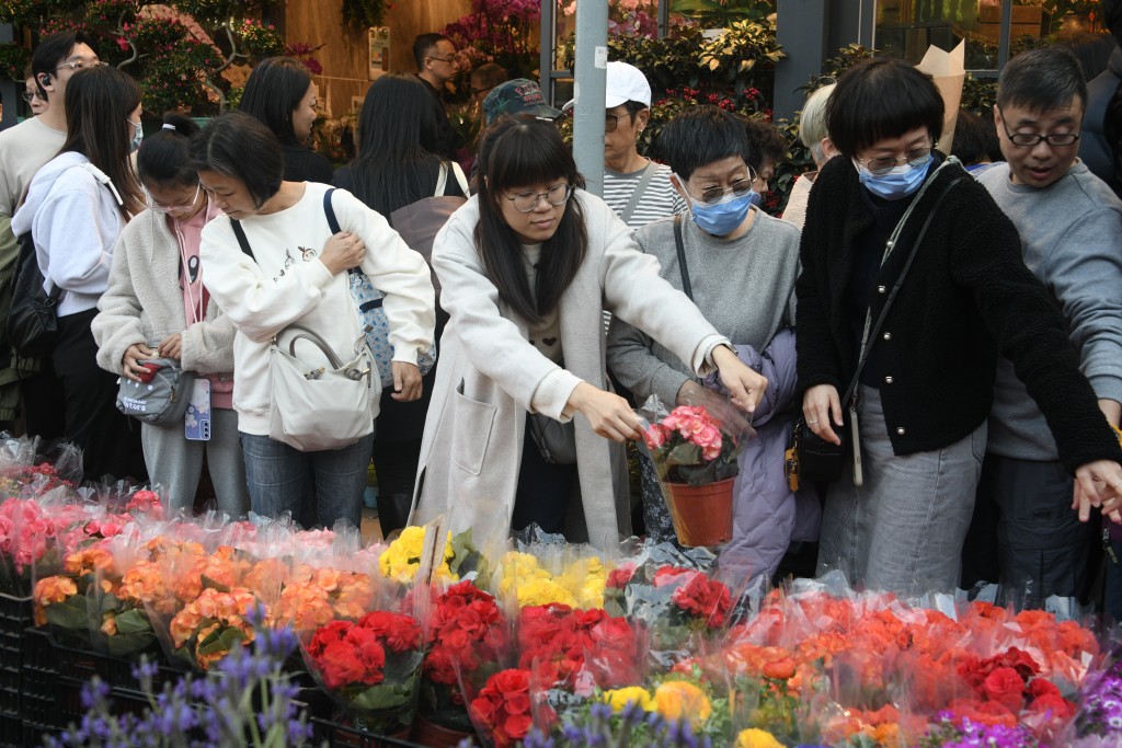 不少市民到花墟买年花。陈浩元摄