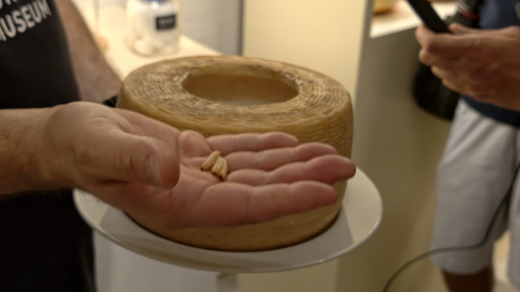 來自意大利撒丁島的傳統芝士Casu Marzu,連同蛆蟲食用。 來自意大利撒丁島的傳統芝士Casu Marzu,連同蛆蟲食用。