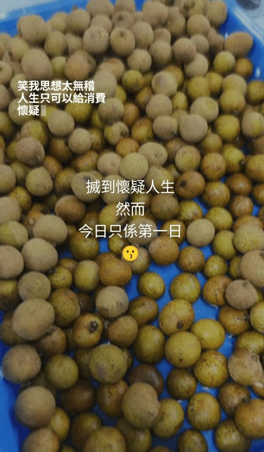 蘇君蕎表示搣龍眼過程，有點懷疑人生。