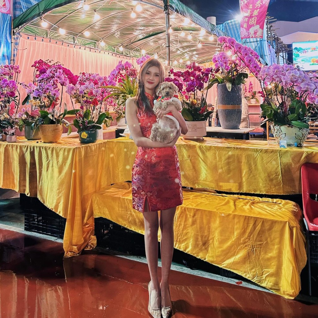 去年落選港姐鄧凱文成為新晉東張女神，今次農曆新年鄧凱文以旗袍Look現身花市！