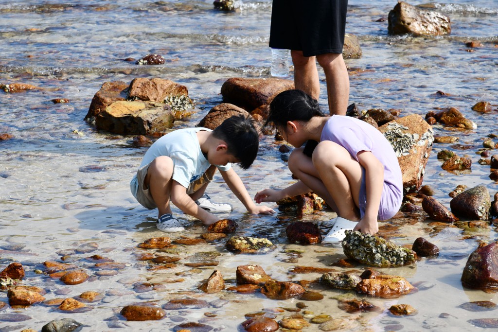 不少小朋友在海邊玩水、摸蜆。