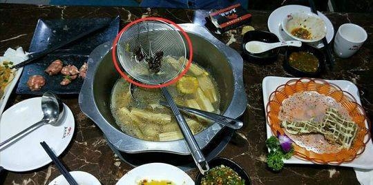老闆表示一下子8隻蟑螂,而且是用餐1小時後,這顯然不符合常理。(網圖)