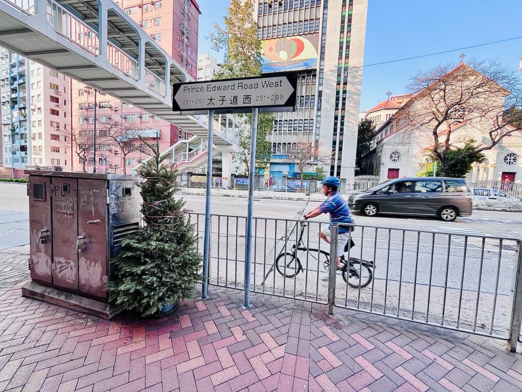 今年1月初，有市民將聖誕樹棄置於太子道街頭。