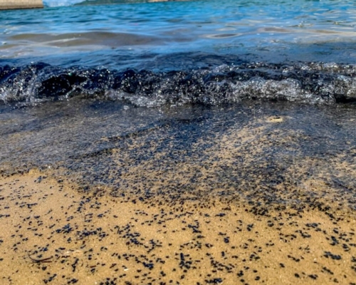 岸邊有大量黑膠顆粒。「無塑海洋」圖片