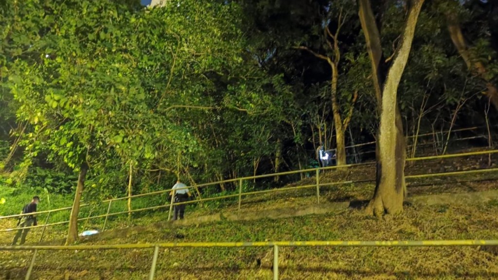大窩口邨男子失蹤逾一周 被發現山坡上吊亡