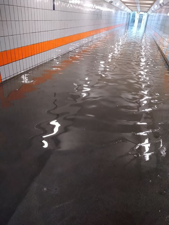 fb「Tai Po 大埔」網民Ying Ying圖片