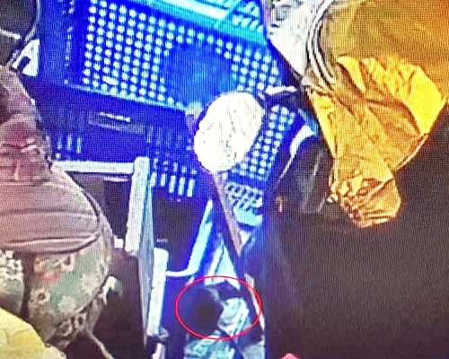 一隻老鼠鬼鬼祟祟地鑽進雞籠內。網圖