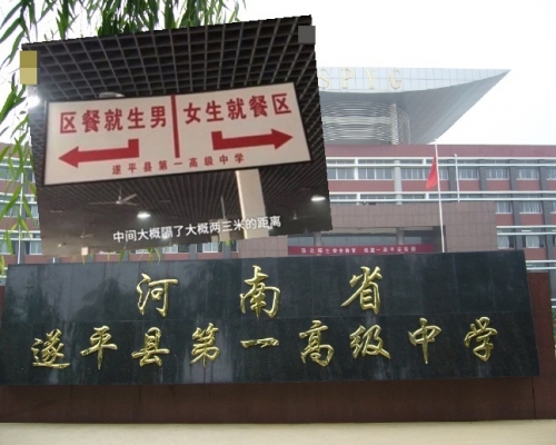 網圖