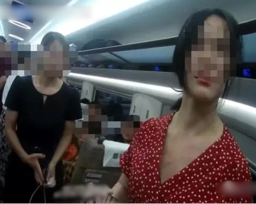 內地兩名女乘客在一輛從南昌開往濟南的高鐵上發生衝突。 網圖
