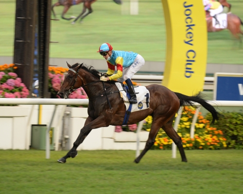 「佳運財」今日再贏馬，季內取得四連捷。