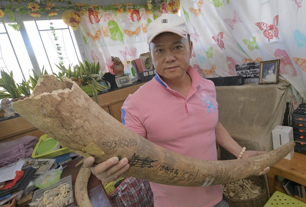 陳宗和見證象牙行業興哀，指現時業界正尋求法律意見並研究司法覆核。陳浩元攝