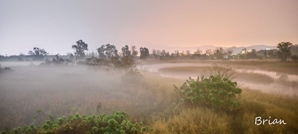 樓主以「南生圍晨霧…… 一個寧靜嘅早上」為題上載相片。圖片授權Brian Chiu