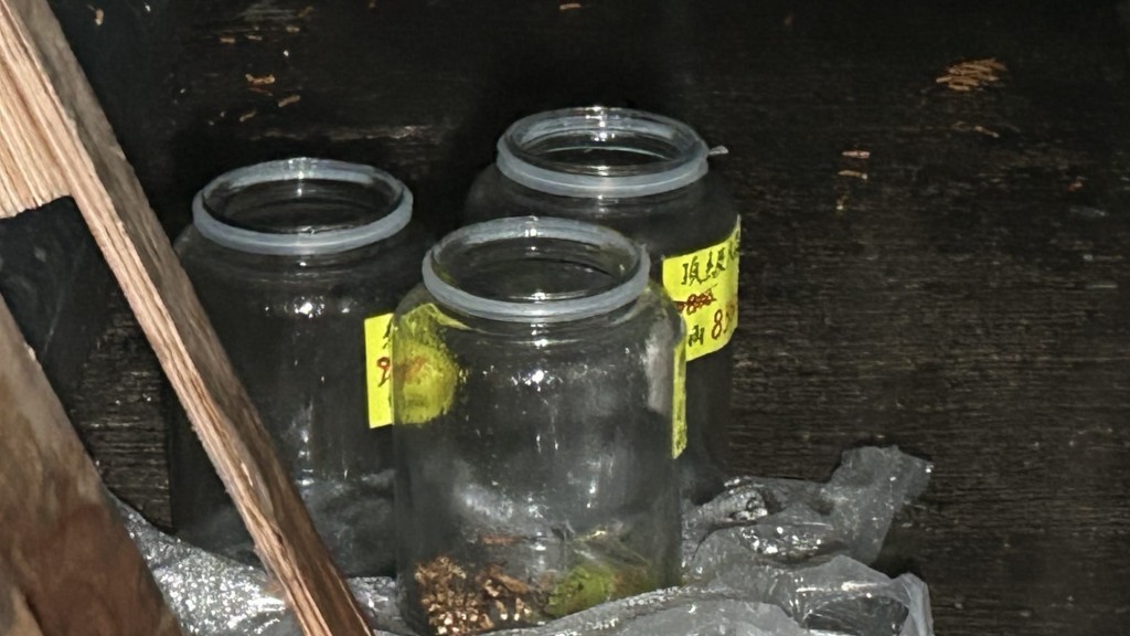 店铺后巷有三个被清空了的半尺高透明玻璃樽，樽内本装有价值约8000元一两的草虫，疑被贼人移至该处，以便处理。