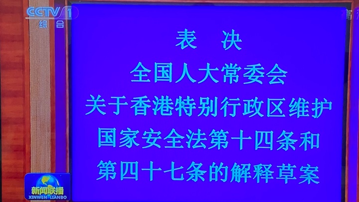 人大常委表決通過關於《港區國安法》的釋法草案。央視片段截圖
