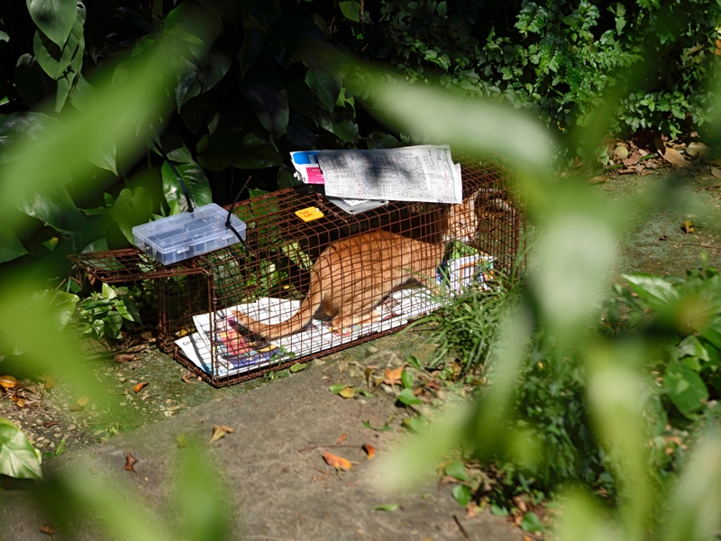 愛護動物協會相片