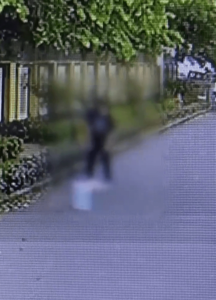 冷血男趁無人發現時就虐殺引來的貓。 冷血男趁無人發現時就虐殺引來的貓。