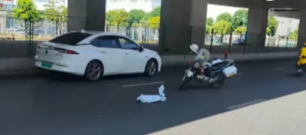 鱷魚掙扎多次掉落車。 鱷魚掙扎多次掉落車。