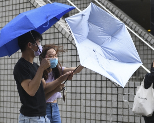 天文台預測熱帶氣旋料生成，與東北季候風的共同效應下，周五及周末風勢頗大，有狂風大雨。 資料圖片