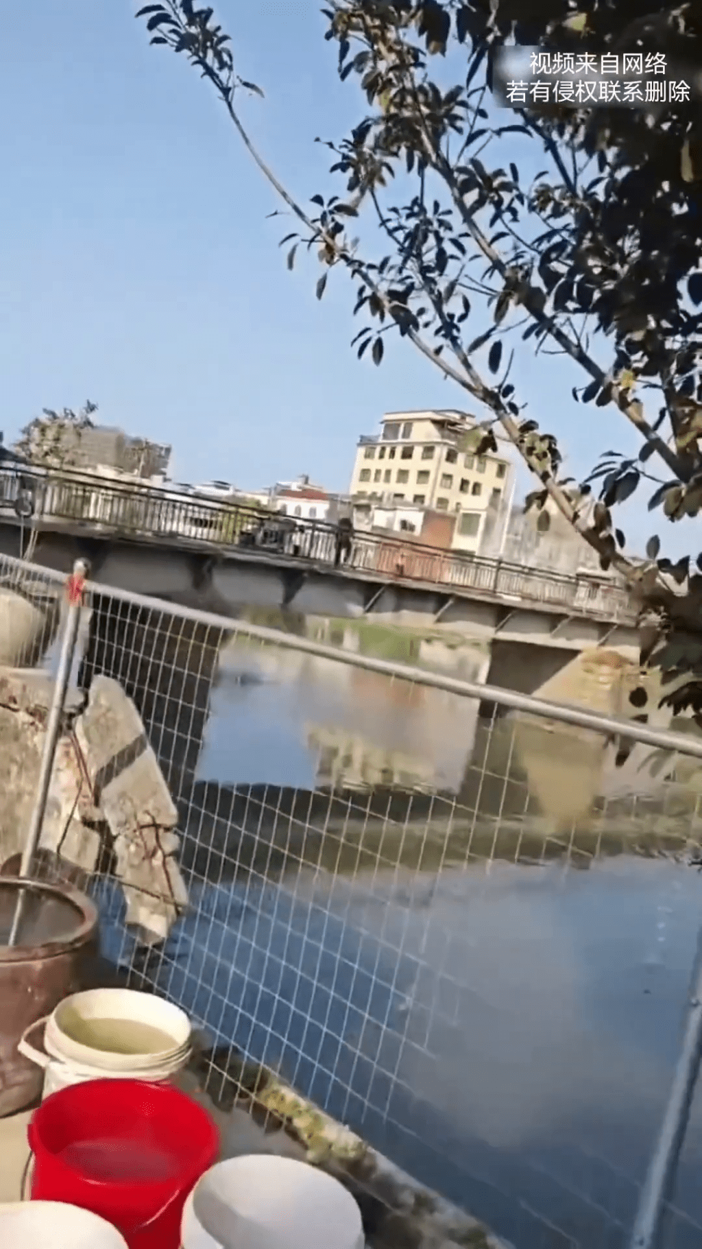 網傳影片顯示,一名男子雙手抱起一名幼童拋下河中。 網傳影片顯示,一名男子雙手抱起一名幼童拋下河中。