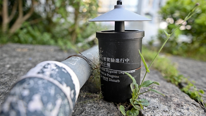 本港錄得一宗登革熱外地傳入個案,病人於潛伏期內曾到印度。資料圖片