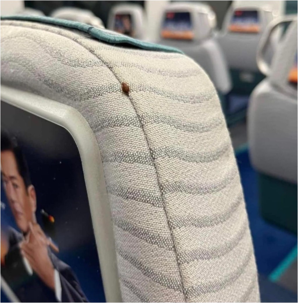 较早前网传一张香港的机铁上疑有床虱的照片，其后港铁回应指已检查有关列车并已作高温清洁。